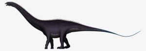 apatosaurus ajax by spinoinwonderland - brolyeuphyfusion9500 apatosaurus