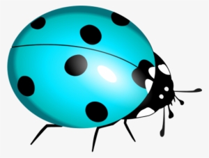 Ladybug Clipart Teal - Blue Ladybug Png