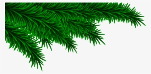 Christmas Pine Branches Decorating Png Clip Art Image - Christmas Pine Branch Png