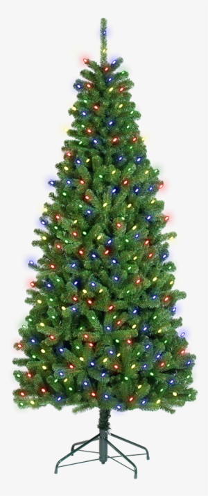 Slim Aberdeen Pine