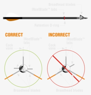 The Cock Vane And The Top Broadhead Blade Should Be - Diagram