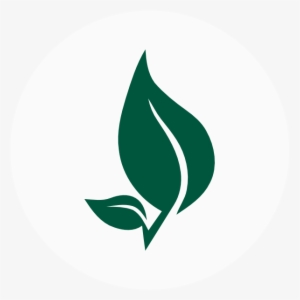 What We Do - Organic Leaf Png