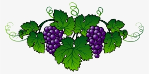 Wine Common Grape Vine Embroidery Berry - Grape