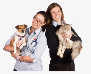 Our Partnering Vets Are Professional Experts In Pet - Pets And People Png