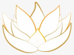 lotus transparent