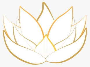 Lotus Transparent