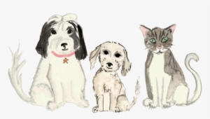Pets - Portable Network Graphics