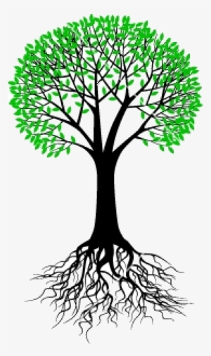 Tree And Root Vector 542559 - Transparent Tree With Root