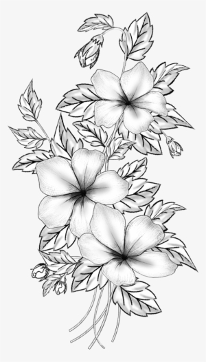 Floral Design Flower Leaf Drawing Petal - Flower And Leaf Drawing