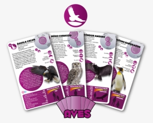 Cartas-aves - Fw - Flyer