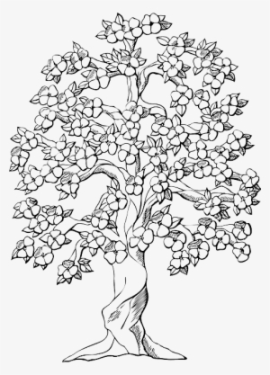 Black, Apple, Fruit, Outline, Drawing, Sketch - Big Family Tree Drawing
