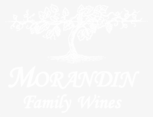 Wine Blog - Genius In The Family