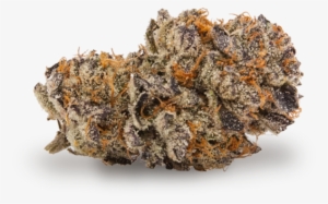 Candyland Cookies Review By Culture Magazine - Igneous Rock