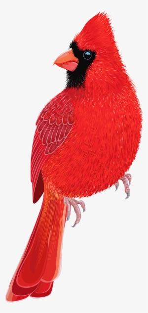 Red Bird Png Clipart Image - Red Bird Png Clipart