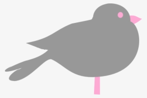 Gray N Pink Bird Svg Clip Arts 600 X 402 Px