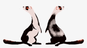 Yfzhbwy - Portable Network Graphics