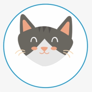 Cats - Rabbit