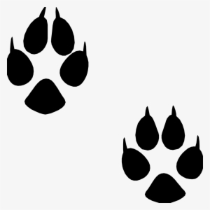 Dog Puppy Cat Footprint - Animal Footprints Png