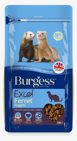 Bugess Ferret Food