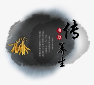 Design Of Chinese Medicine Art Word For Cordyceps Sinensis - 水墨 中国 风