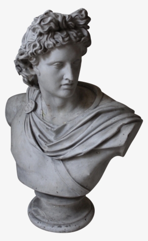 Apollo Belvedere Bust - Bust Png