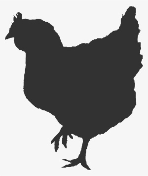 Ontario Broiler Chicken Hatching Egg Producers Association - Broiler Chicken Vector