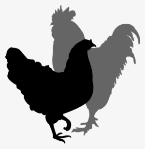 Chicken Silhouette Clipart Best - Clip Art