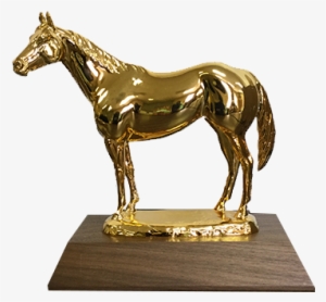 Aqha Level 1 Gold Trophy - Silver