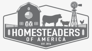 How To Treat Common Chicken Illnesses - Homesteading Logo
