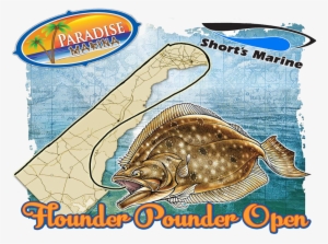 Flounder Pounder Paradise Grill