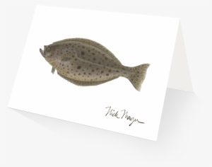 Ca Halibut V=1524851214 - California Halibut