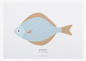 A3 Small Halibut - Halibut