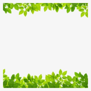 Cadre Nature - Green Leaves Border Transparent Background