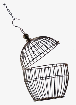 Free Png Bird Cage Png Images Transparent - Open Bird Cage Png