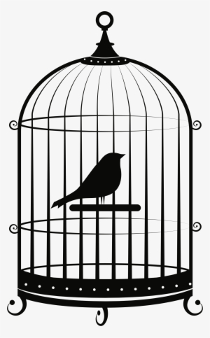 Cage Png Clip Freeuse Stock - Bird In Cage Png