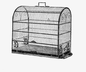 Free Bird Cage Digital Stamp - Birdcage