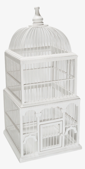 White Bird Cage - Shelf