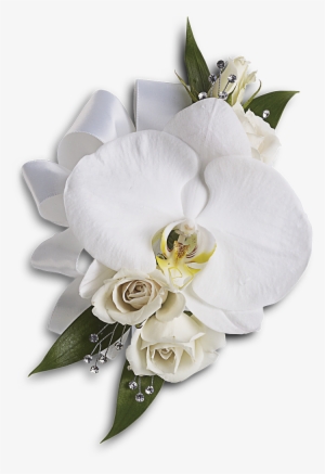 White Wedding Flowers Png - White Phalaenopsis Orchid Corsage