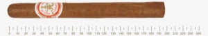 Hdm Double Coronas 25 Cigars - Cigars