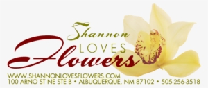 Store Logo Store Logo
