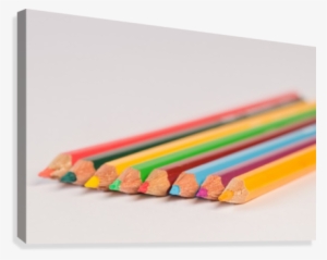 Assorted Colored Pencils Canvas Print - Education