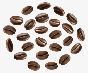 Coffee Seeds Png
