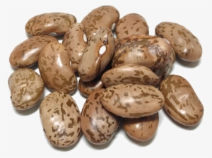 Shady Side Farm - Dry Beans