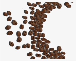 coffee beans png transparent images - coffee