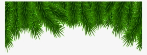 Christmas Pine Clip Art
