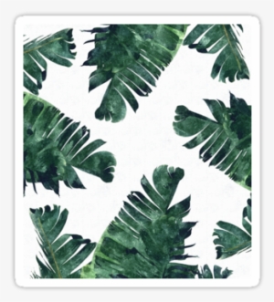'banana Leaf - White And Green Background