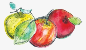 Apple 3