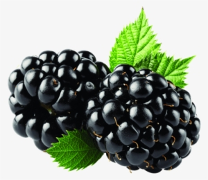Blackberry Fruit Png Transparent Image - Blackberry Fizz Sticks Arbonne