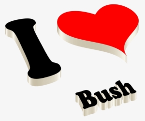 Bush Png Photo - Golu Name