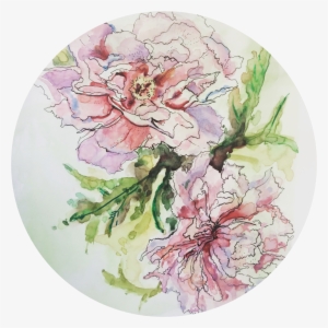 Behind The Watercolour - Common Peony